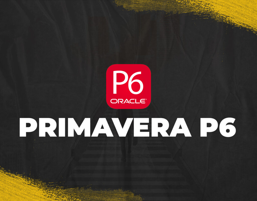 PRIMAVERA P6 Online